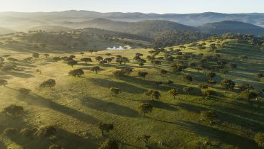 herdade_contenda|Herdade_Contenda_dez2024