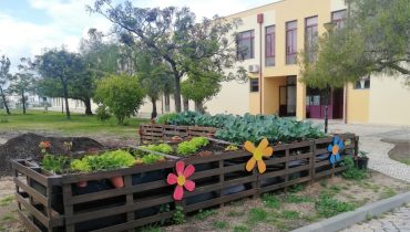 dav|horta pedagogica santo antonio (8)|horta pedagogica santo antonio (1)|sdr|horta pedagogica santo antonio (4)|horta pedagogica santo antonio (5)|horta pedagogica santo antonio (6)|horta pedagogica santo antonio (7)