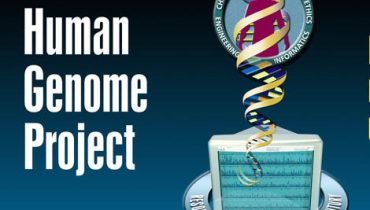 human genome project|Capa da Nature de 21 de Outubro de 2004|Manuela Grazina