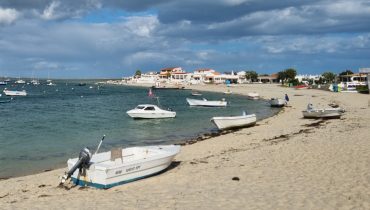 Armona