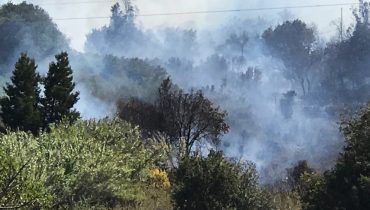 incendio aljezur