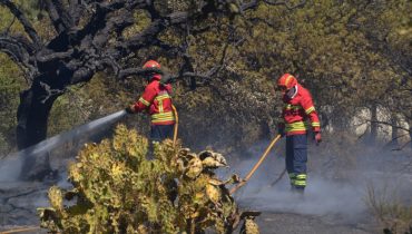 incendio almancil - 8