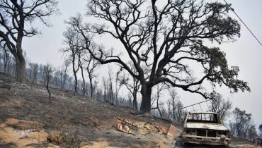 incêndio de monchique (1)|CHIQUE-7