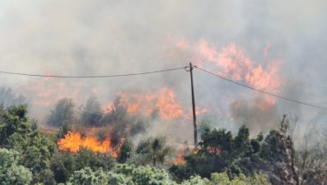 incendio marmelete monchique nelson inácio (3)