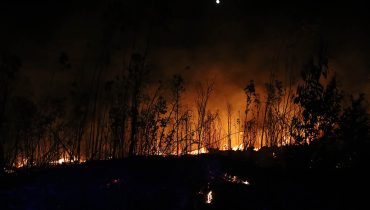 incendio monchique