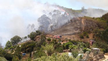 incendio monchique tojeiro nelson inacio (9)-5024x3236