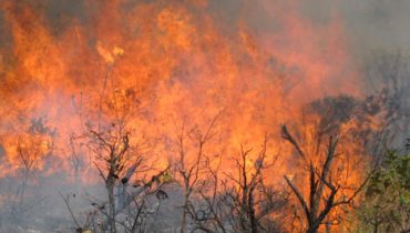 Incêndio1