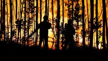 incendio_noite_ni (3)