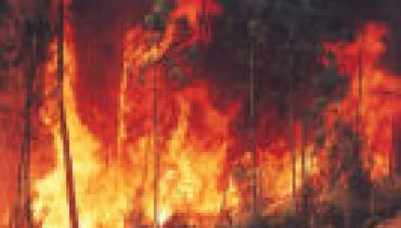 incendios
