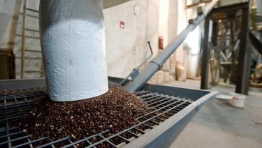 A Industrial Farense - fábrica de farinha de sementes de alfarroba.