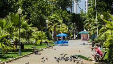 jardim-alameda-faro-GD1