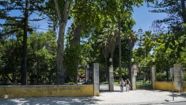 jardim-alameda-faro-GD2|jardim-alameda-faro-GD3