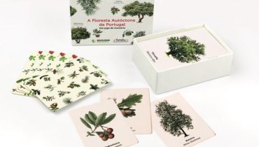 jogo de cartas Rewilding sudoeste