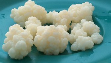 kefir