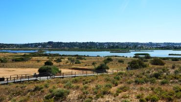 lagoa dos salgados_er_03