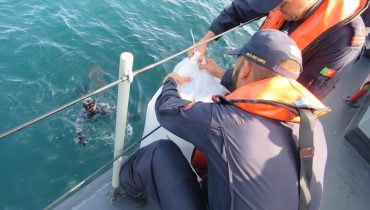 libertação dos meros_01|libertação dos meros_04|libertação dos meros_03|libertação dos meros_02|ministra do mar campeonato pesca submarina
