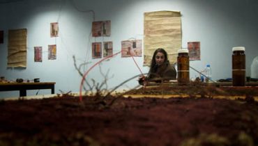 mariana_madeira_MAPLAND_fev2014_4749|mariana_madeira_MAPLAND_TREM_faro