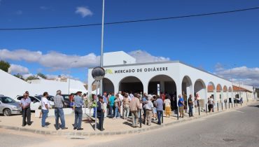 mercado odiaxere