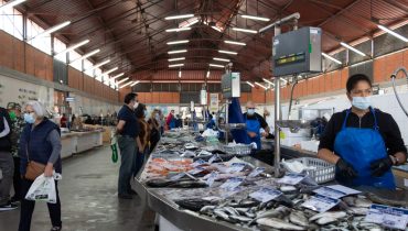mercado_de_olhao_fc (6 de 9)