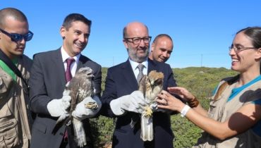ministro ambiente|festival observação aves