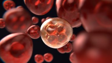 mitosis-g096ab1c49_1920|Celia_Manaia