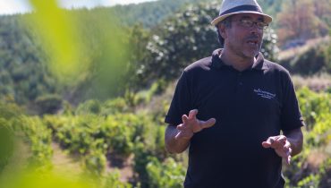 monchique_vinho_carlos_gracias_fl-22|monchique_vinho_carlos_gracias_fl-20|monchique_vinho_vindima_uva_carlos_gracias_fl-18|monchique_vinho_carlos_gracias_fl-5|monchique_vinho_carlos_gracias_fl-1