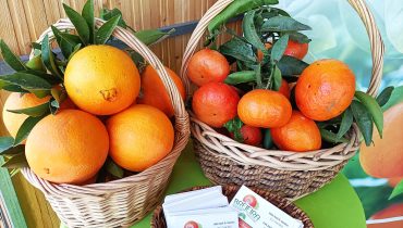 mostra da laranja_er_27