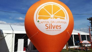 mostra laranja silves (13)