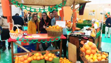 mostra silves capital da laranja 5