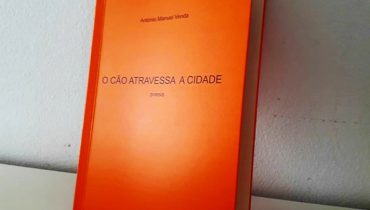 o cao atravessa a cidade
