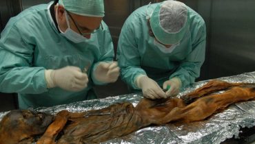 otzi|ovo de Trichuris trichiura