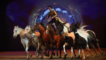 paco martos|fatacil equestre