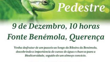 passeio fonte da benémola