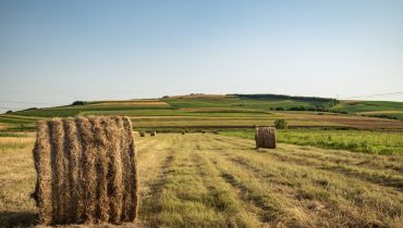 agricultura_campo_palha