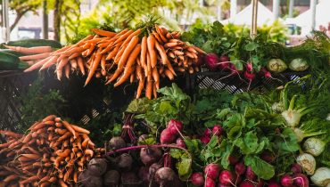agricultura_coleheita_vegetais