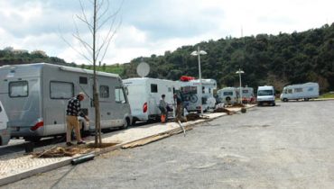 plantação de árvores |plantação de árvores |plantação de árvores