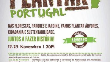 plantar monchique
