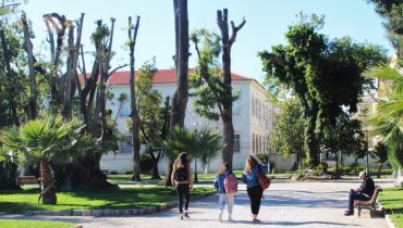 Jardim da Alameda, apenas poda radical, há dois anos