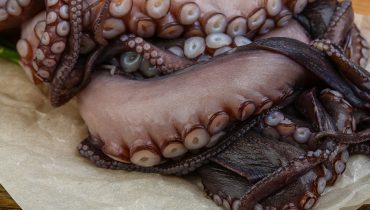 Raw octopus
