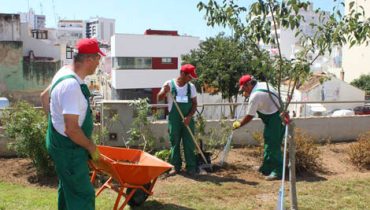 portimão mais verde_1|portimão mais verde_2|portimão mais verde_3