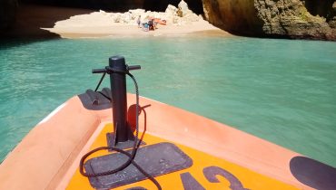 praia cao raivoso