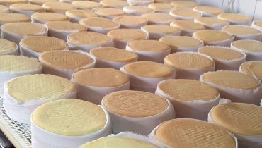 queijo de serpa 1|queijo de serpa 2|queijo de serpa 3