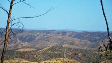seca_desertificacao_incendios_serra algarvia 3