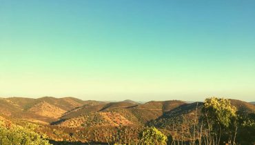 serra algarvia|WhatsApp Image 2021-11-23 at 17.56.51 (1)