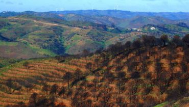 serra do caldeirao