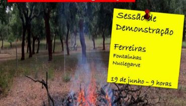 sessão sobre queimas