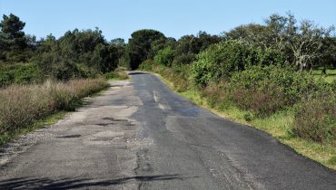 sobreiras altas grandola (1)|sobreiras altas grandola (2)