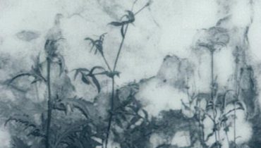 soniacorvo_1