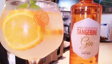 tangerine gin1|Eduardo Peixinho Reis|tangerine gin_2