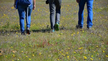 turismo de natureza_caminhada_walking
